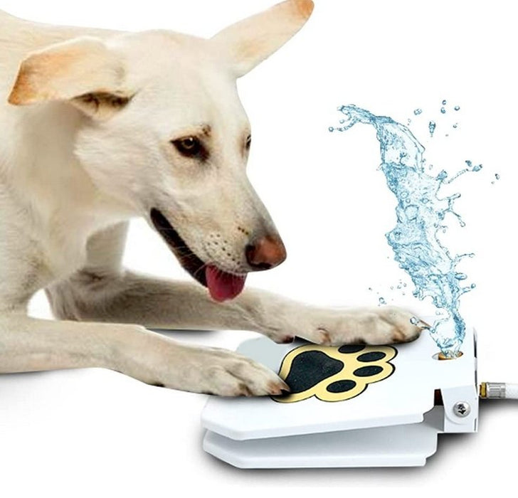Dog Step On Water Fountain - Gear Elevation