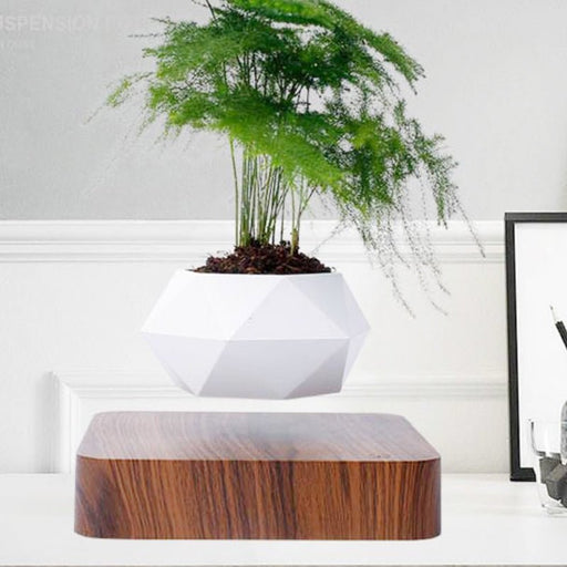 Levitating Bonsai Pot - Gear Elevation