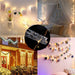Photo String Lights with Photo Clip - Fairy Garland DIY Deco for Outdoor, Wedding - Gear Elevation