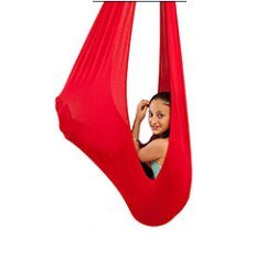 Sensory Swing for Kids, Therapy Swing Toy Set, Indoor Hammock - Gear Elevation