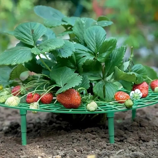 Strawberry Planting Frame - Strawberry Pot Holder Tray Adjustable Strawberry Support Stand Plant Climbing Frame Preservative Tool - Gear Elevation